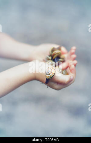 Macro di primo piano delle mani del bambino palme azienda molti piccolo giardino foresta giallo listati di lumache di molluschi. Estate bambini attività di intrattenimento. Felice Foto Stock