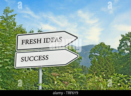 Cartello stradale di idee fresche e di successo Foto Stock
