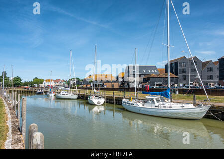 La segala nella contea di Sussex Foto Stock