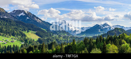 Pomeriggio Vista della Kleinwalsertal all inizio di estate Foto Stock