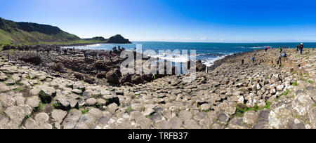 Il paesaggio naturale di Giant's Causeway in Irlanda del Nord Foto Stock