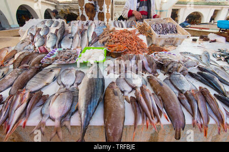 Vero e proprio mercato del pesce e a base di pesce fresco e frutti di mare oceano Atlantico in Marocco Foto Stock