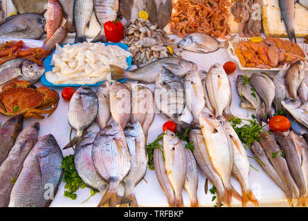 Vero e proprio mercato del pesce e a base di pesce fresco e frutti di mare oceano Atlantico in Marocco Foto Stock
