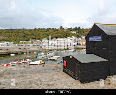 Vista del porto a Lyme Regis visto dall'estremità della Cobb. L'Acquario Marino è in primo piano Foto Stock