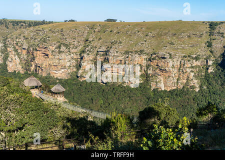 Il lago Eland ponte di sospensione in Oribi Gorge, Sud Africa. Il 80m ponte richiede alle persone di superare le loro paure in modo da attraversare a piedi. Foto Stock