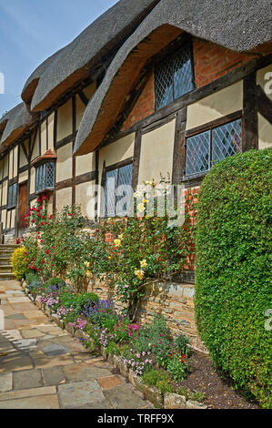 Anne Hathaway's Cottage in Shottery, Stratford upon Avon, è una metà medievali edificio con travi di legno e casa di William Shakespeare la moglie. Foto Stock