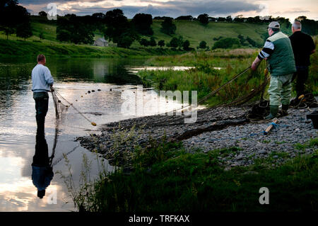 Tradizionale rete a pesca di Canny pesca sul fiume Tweed Foto Stock