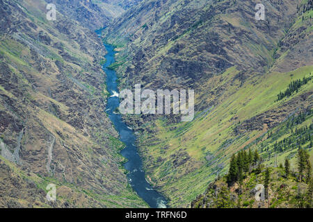 Snake River in Hells Canyon visto dal barton altezze lungo il oregon-idaho confine vicino imnaha, Oregon Foto Stock