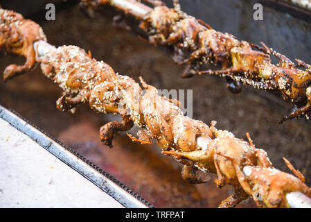 Quaglie arrosto sul barbecue fire ruotare / marinata di quaglie alla griglia bird per alimentare in Asia Foto Stock