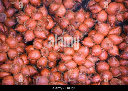 Salak Palm texture di sfondo o snake frutto per la vendita nel mercato della frutta / Salacca zalacca Foto Stock