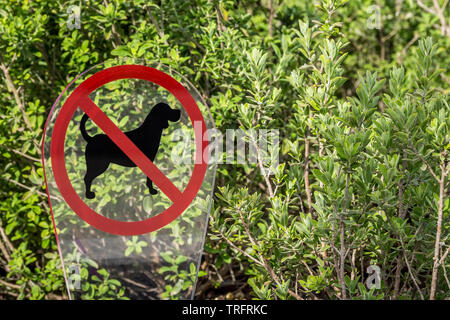 Segno di cani proibita in erba Foto Stock