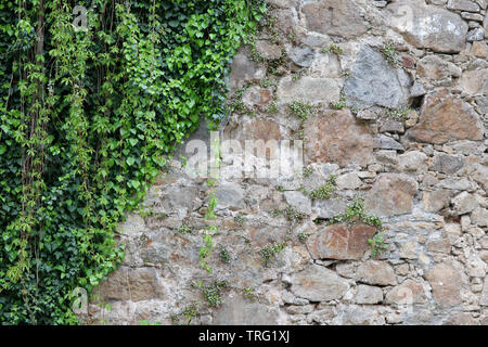 Texture medievale di pietre di campo di un muro di fortificazione Foto Stock