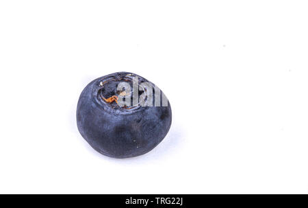 I mirtilli isolato dallo sfondo. I frutti di bosco. Perfetto per inceppamento. Viola e rotonda. Il complemento perfetto per lo yogurt. Succoso frutto. Foto Stock
