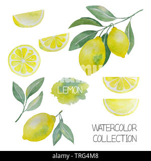 Abstract disegnati a mano i limoni acquarello, foglie e le fette di limone, design elementi isolati su bianco Foto Stock