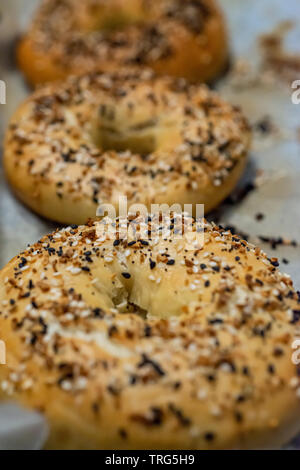 Fresh american bagel fuori del forno Foto Stock