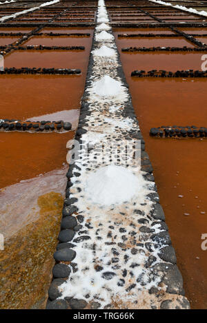 Salinas. Il Museo de la Sal. Pueblo Las Salinas del Carmen. Isla Fuerteventura. Provincia di Las Palmas. Islas Canarias. España Foto Stock