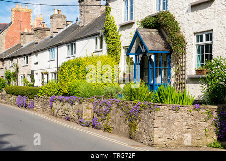 Una fila di case a schiera, in Hay-On-Wye, con fiori viola in crescita sulla parete anteriore del giardino in una luminosa giornata di sole. Foto Stock