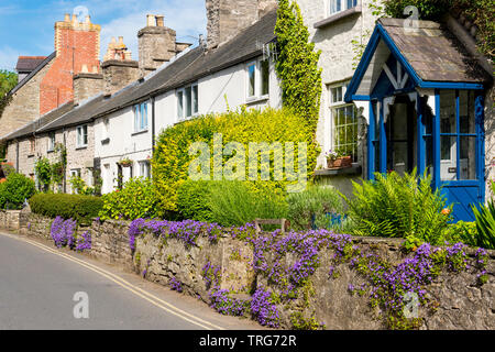 Una fila di case a schiera, in Hay-On-Wye, con fiori viola in crescita sulla parete anteriore del giardino in una luminosa giornata di sole. Foto Stock