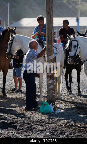 Tradizionale nastro horse racing al Benamargosa Romeria. Equitazione la concorrenza si svolge lungo il letto del fiume secco come parte del festival Foto Stock