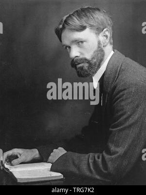 D.H.Lawrence (1885-1930) inglese lo scrittore e poeta Foto Stock