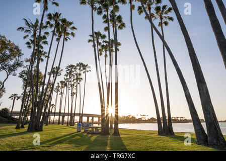 Mission Bay Park prima del tramonto. San Diego, California, Stati Uniti d'America. Foto Stock