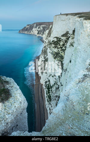 Un solitario che figura sulle scogliere della Jurassic Coast da Bat la testa, Dorset, Inghilterra Foto Stock