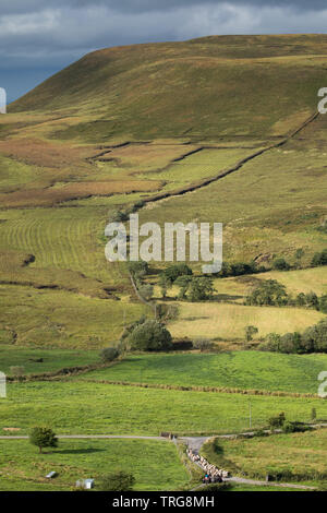 Pecore essendo arrotondati su Gortalughany, Co Fermanagh, Irlanda del Nord, Regno Unito Foto Stock