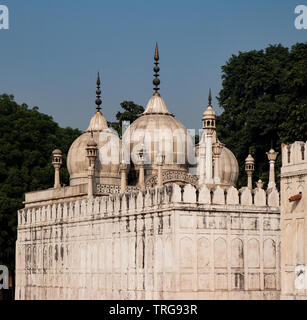 I moti Masjid, la Moschea di perla all'interno di Red Fort di Delhi, realizzato in marmo dall'imperatore Mughal Aurangzeb nel XVII secolo. Foto Stock