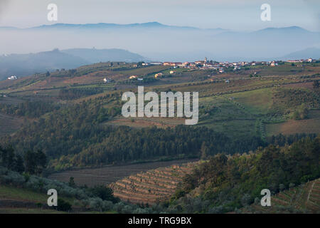 La Valle del Douro regione del vino da Sabrosa, Vila Real, Portogallo Foto Stock