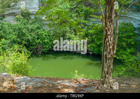 Sacro Cenote della zona archeologica di Chichen Itza nella penisola dello Yucatan Foto Stock