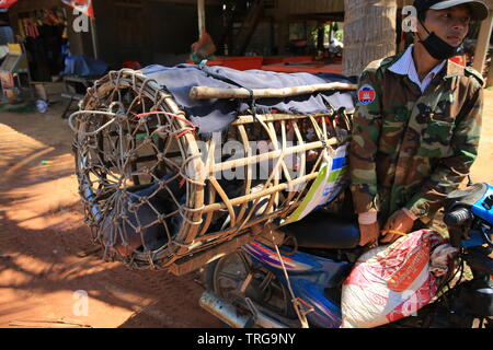 Siem Reap/CAMBOGIA - Marzo 3 2017-vender vendere il maiale sulla strada. Foto Stock