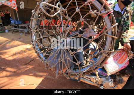 Siem Reap/CAMBOGIA - Marzo 3 2017-vender vendere il maiale sulla strada. Foto Stock