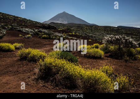 Il monte Teide summit visto attraverso il Parco Nazionale del Teide, Tenerife, Spagna Foto Stock