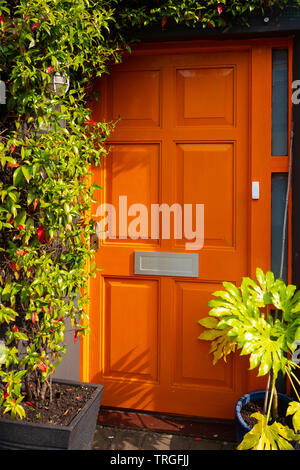Porta arancione circondato da piante verdi Foto Stock