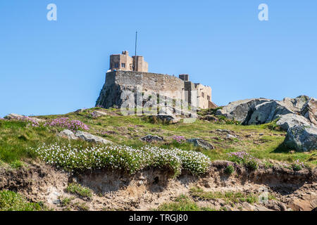 Lindisfarne Castle sull isola santa in Northumberland, Isola Santa è un isola di marea off della costa nord-orientale dell'Inghilterra. Foto Stock