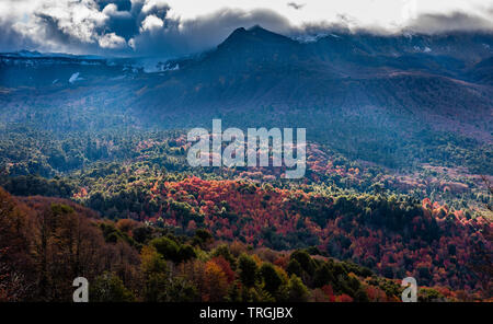 Autunno nel cuore del territorio Mapuche, temperata foresta, Cile Foto Stock