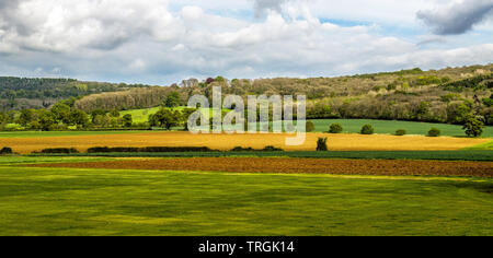 Terreni agricoli nei pressi del villaggio di Stanway nel Gloucestershire mostra bande di colori diversi nei campi e colline e cielo. Foto Stock