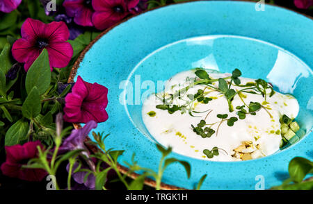 Estate zuppa fredda con mousse di luce Foto Stock