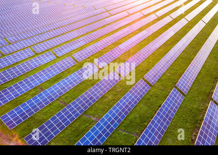 Ampio campo di impianti solari fotovoltaiche sistema di pannelli di produzione di fonti di energia pulita su erba verde dello sfondo. Foto Stock