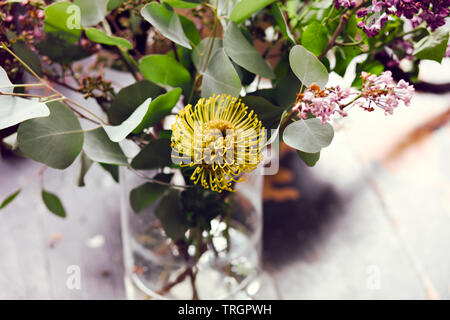 Bouquet di eucalipto e giallo Baskia australiano fiore in un vaso di vetro all'interno con un background in legno Foto Stock