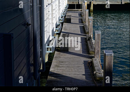 Una passerella di legno corre lungo la parte anteriore di mare nella parte del porto di Wellington Foto Stock