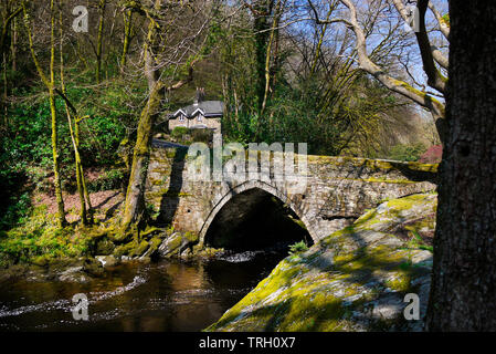 Denham Bridge, Buckland Monachorum, Devon, Regno Unito. Foto Stock