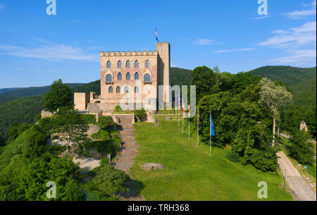 Vista aerea di Hambach Castle (tedesco: Hambacher Schloss), simbolo della democrazia tedesca, Neustadt an der Weinstrasse, Renania-Palatinato, Germania Foto Stock