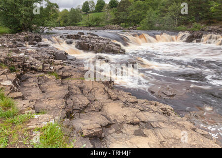 Bassa forza cascate vicino a Middleton in Teesdale, England, Regno Unito Foto Stock