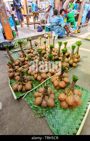 I grappoli di noci di cocco per vendita a Port Vila e mercato, Isola di Efate, Vanuatu Foto Stock