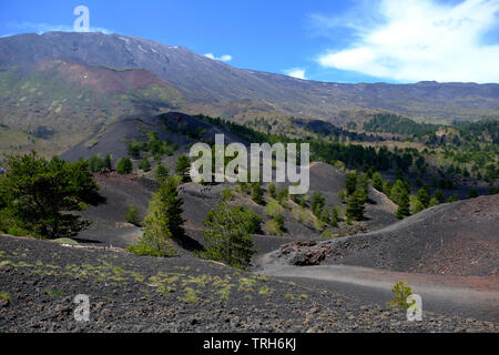 Pendici del Monte Etna, il più alto e il vulcano più attivo in Europa, Nicolosi, Sicilia, Italia Foto Stock