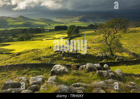 Cielo tempestoso oltre Winskill e Ribblesdale con Pen-y-Ghent avvolto nella nube, Yorkshire Dales National Park, England, Regno Unito Foto Stock