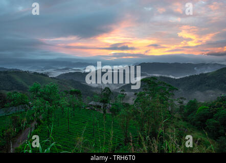 Alba dalla cima della collina con nuvole basse e la spia arancione di sun. Immagine presa da Hill Top mostra dawn vista al di sopra delle colline e dei boschi. Foto Stock