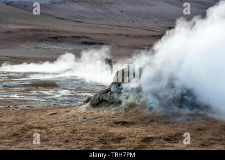 Una fumante fumarola nel altamente attivo area geotermica a Námafjall (Hverir), nei pressi del lago Mývatn nel nord-est dell'Islanda Foto Stock