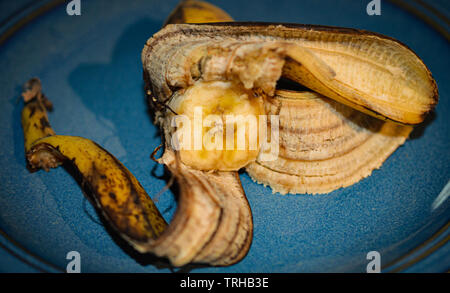 Muffa banana giallo frutto closeup su una cucina blu che mostra la piastra di marciume browning peel e più maturo banana carne Foto Stock